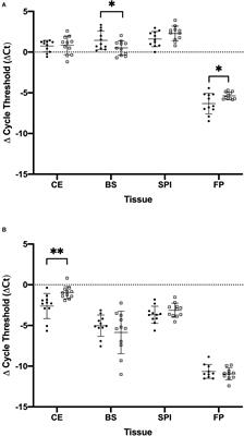 Varying Expression of Mu and Kappa Opioid Receptors in Cockatiels (Nymphicus hollandicus) and Domestic Pigeons (Columba livia domestica)